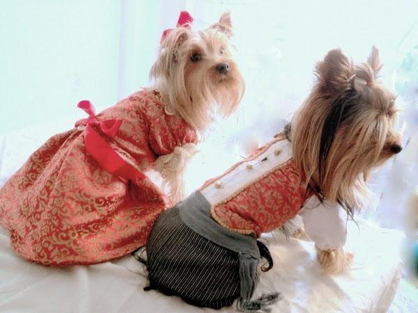 Imagen 16 Campus Inglés foto