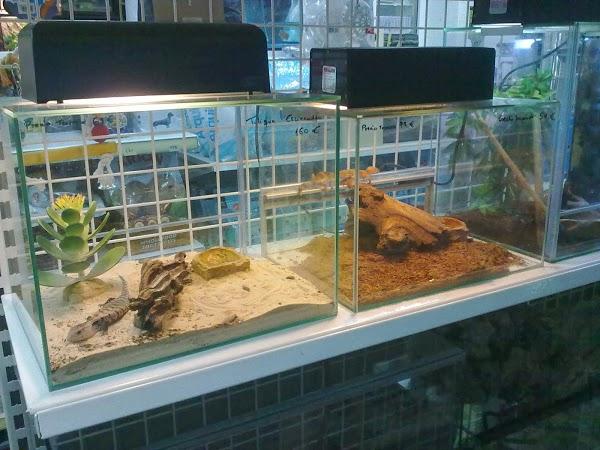 Imagen 17 Campus Inglés foto