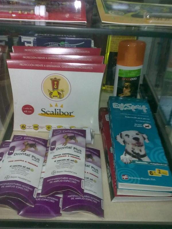 Imagen 18 Campus Inglés foto