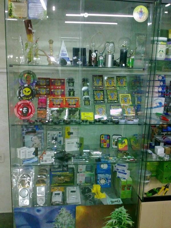 Imagen 9 Campus Inglés foto