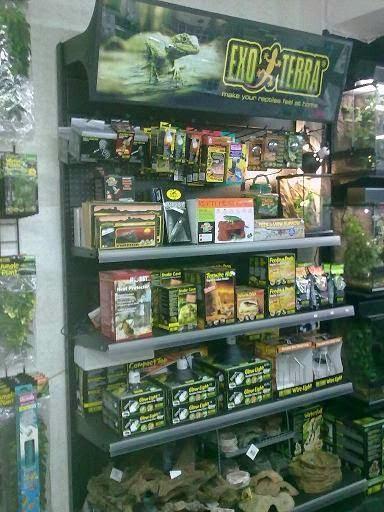 Imagen 10 Campus Inglés foto