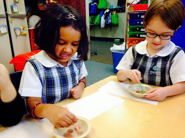 Imagen 9 MALLALBA S.L foto