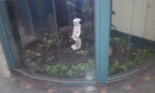 Imagen 17 Electric Screen Printing foto