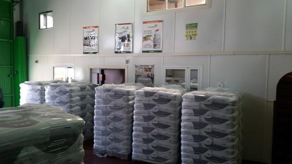 Imagen 129 Serious Green -Grow Shop- foto