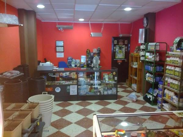 Imagen 160 Serious Green -Grow Shop- foto