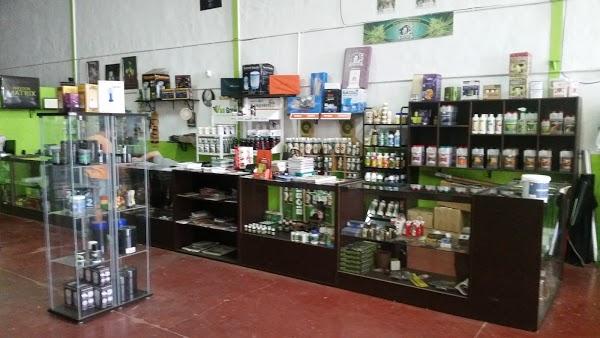 Imagen 82 Serious Green -Grow Shop- foto