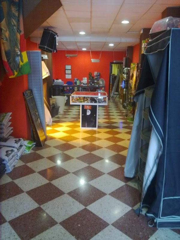 Imagen 85 Serious Green -Grow Shop- foto