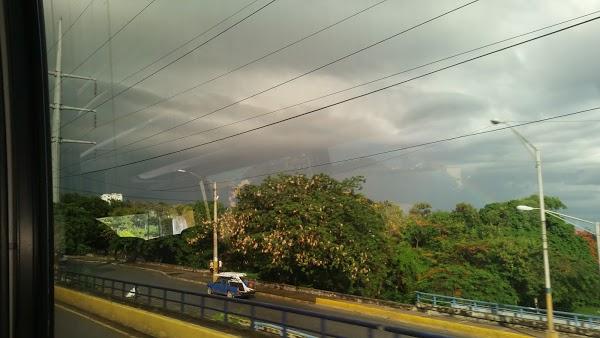 Imagen 30 Cocus foto