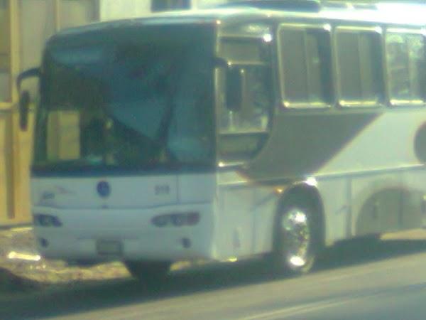 Imagen 199 AUTOBUSES FLETES Y PASAJES S.A. DE C.V. (FYPSA) foto
