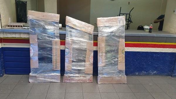 Imagen 225 AUTOBUSES FLETES Y PASAJES S.A. DE C.V. (FYPSA) foto