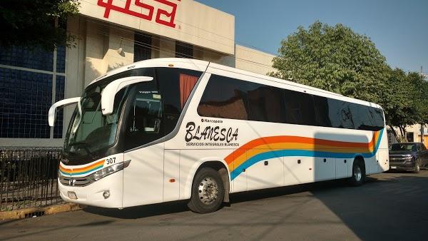 Imagen 226 AUTOBUSES FLETES Y PASAJES S.A. DE C.V. (FYPSA) foto