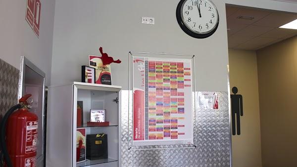 Imagen 50 AUTOBUSES FLETES Y PASAJES S.A. DE C.V. (FYPSA) foto