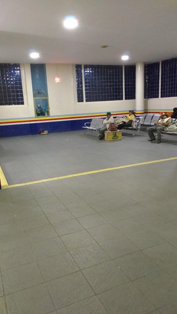 Imagen 66 AUTOBUSES FLETES Y PASAJES S.A. DE C.V. (FYPSA) foto