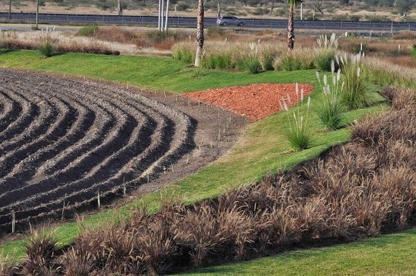 Imagen 2 Hotel Piedra Paloma foto