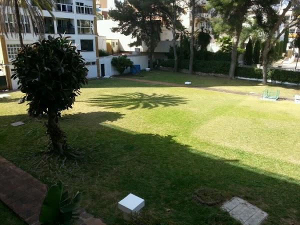 Imagen 3 CASA DINO foto