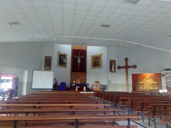 Imagen 24 Centro Veterinario Los Delfines foto