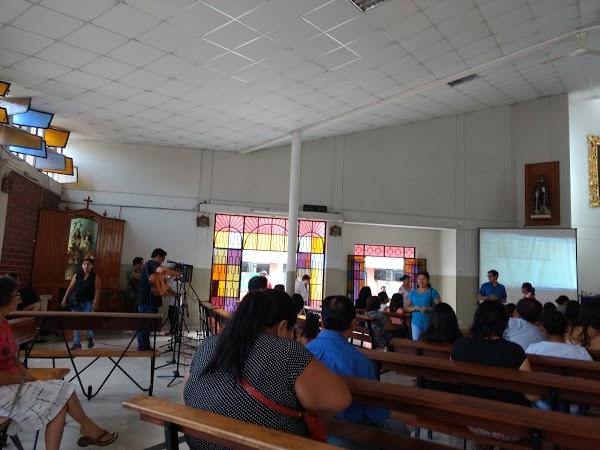 Imagen 27 Centro Veterinario Los Delfines foto