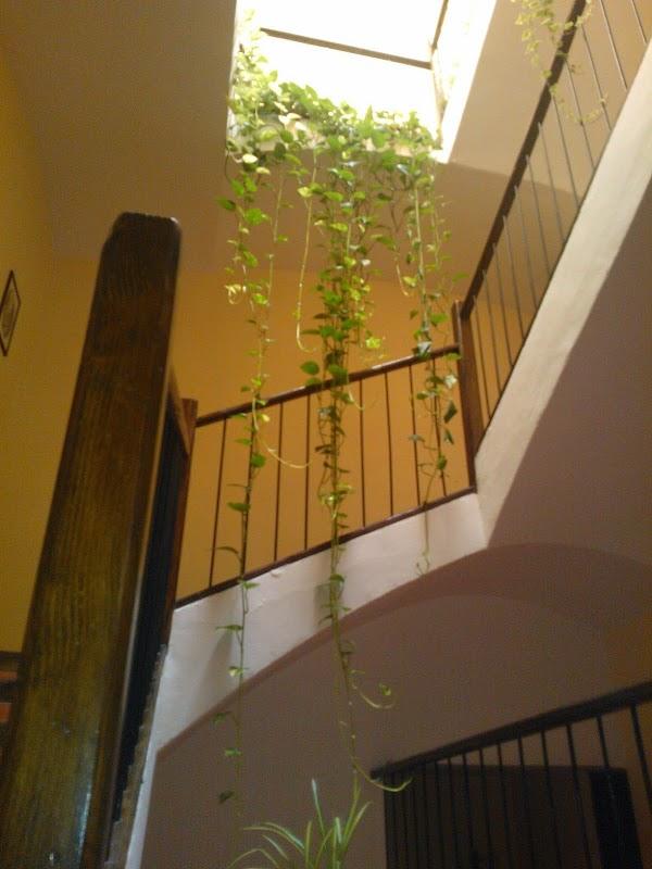 Imagen 9 Centro Veterinario Los Delfines foto