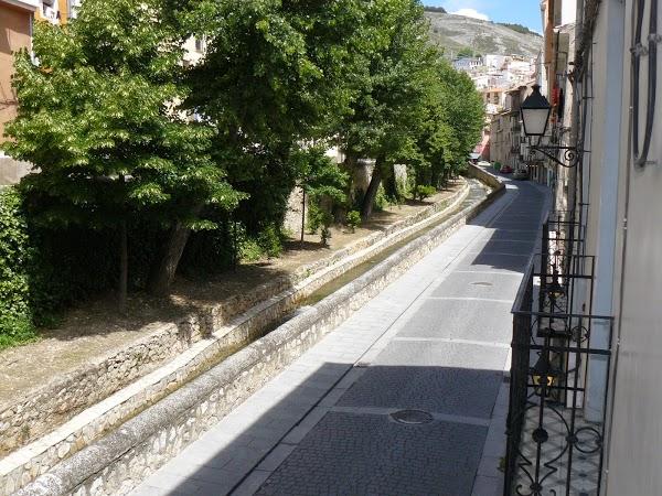 Imagen 10 Centro Veterinario Los Delfines foto