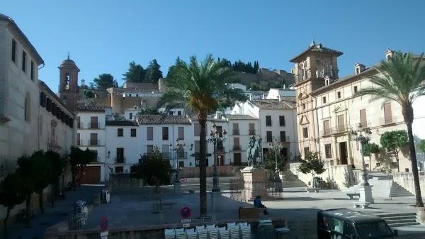 Imagen 8 Academia Optima foto