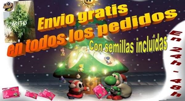 Imagen 18 Escuela PriMaría Federal Adolfo Ruíz Cortines foto