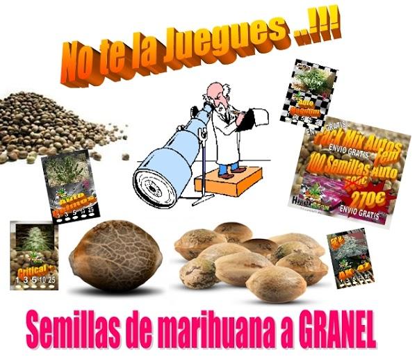 Imagen 33 Escuela PriMaría Federal Adolfo Ruíz Cortines foto