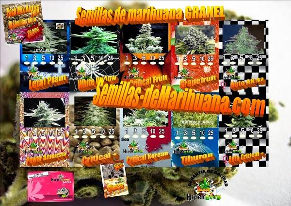 Imagen 34 Escuela PriMaría Federal Adolfo Ruíz Cortines foto