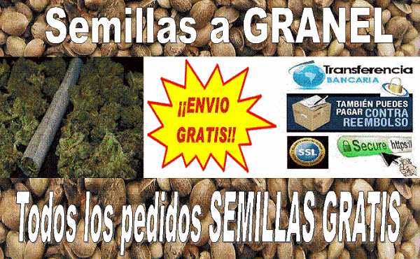 Imagen 39 Escuela PriMaría Federal Adolfo Ruíz Cortines foto