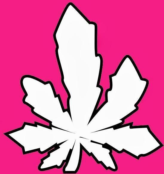 Imagen 47 Escuela PriMaría Federal Adolfo Ruíz Cortines foto