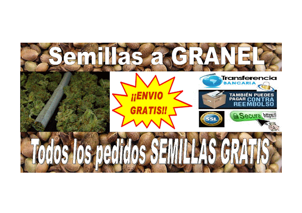 Imagen 7 Escuela PriMaría Federal Adolfo Ruíz Cortines foto