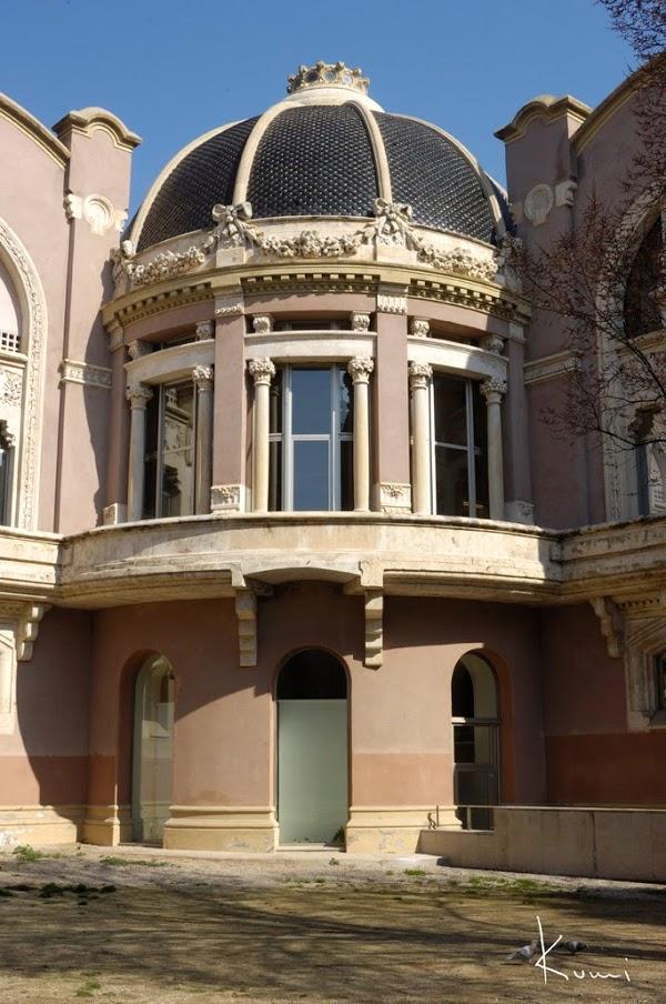 Imagen 19 La Caña y otras hierbas foto