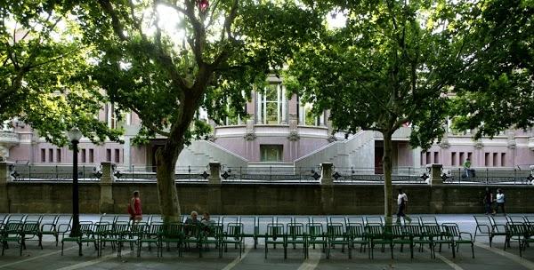 Imagen 26 La Caña y otras hierbas foto