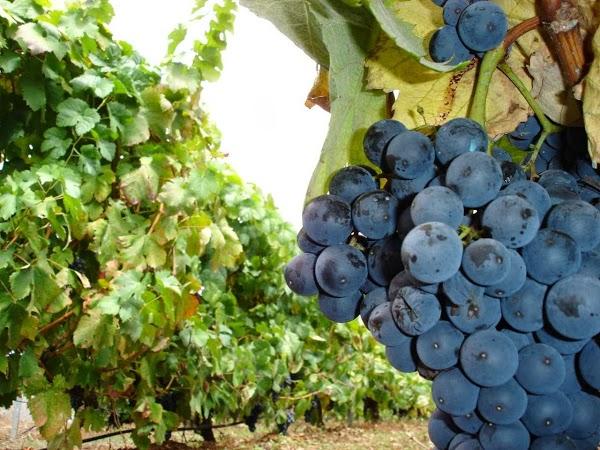 Imagen 5 Banco Santander foto