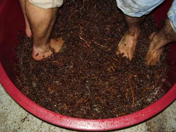 Imagen 6 Banco Santander foto