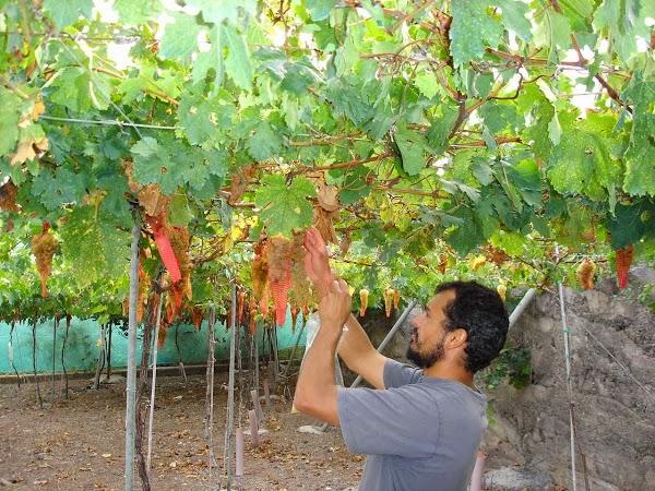 Imagen 10 Banco Santander foto
