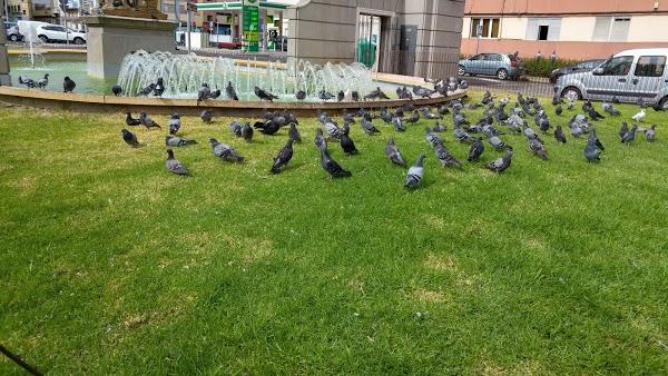 Imagen 44 Club de Tennis Vall Parc foto