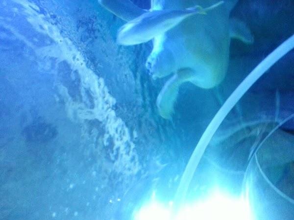 Imagen 1 Caja Rural Central foto