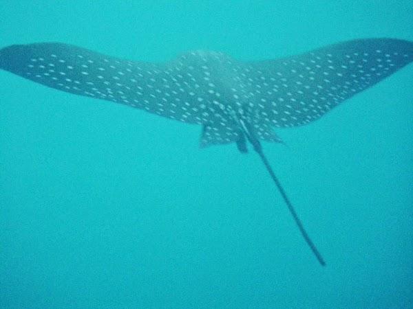 Imagen 9 Autos Plaza foto