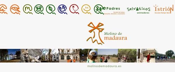 Imagen 140 Aula de Naturaleza Molino de madaura foto