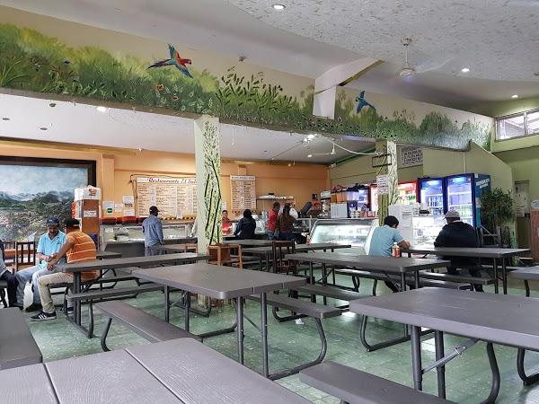 Imagen 233 Aula de Naturaleza Molino de madaura foto