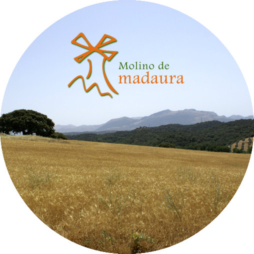 Imagen 80 Aula de Naturaleza Molino de madaura foto