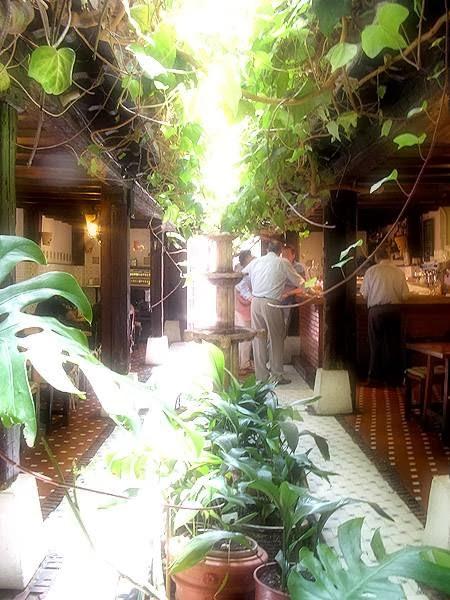 Imagen 53 Gaona Jardín foto