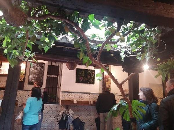 Imagen 96 Gaona Jardín foto