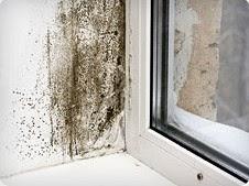 Imagen 1 Yoga y Estudios Tradicionales foto