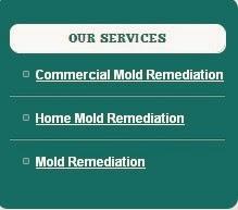 Imagen 3 Yoga y Estudios Tradicionales foto