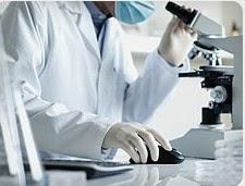 Imagen 8 Autocares Francarbus foto