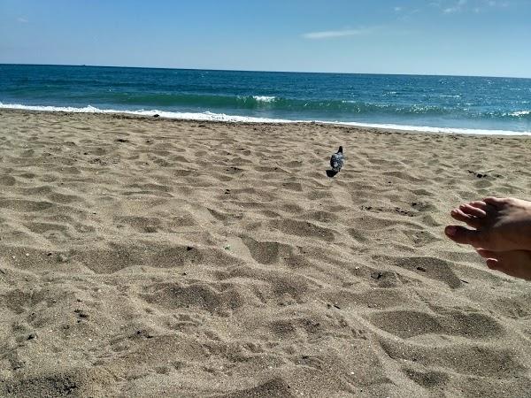 Imagen 40 Yves Rocher - Tenerife C.C. La Villa foto