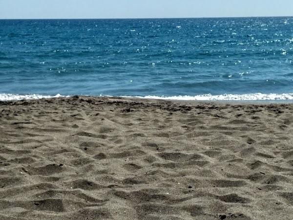 Imagen 42 Yves Rocher - Tenerife C.C. La Villa foto