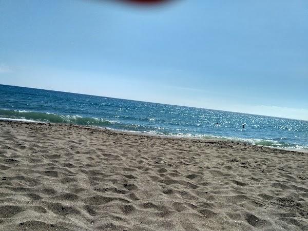 Imagen 43 Yves Rocher - Tenerife C.C. La Villa foto