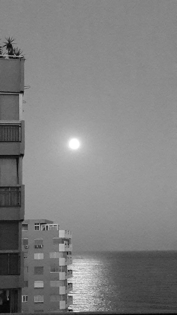 Imagen 44 Yves Rocher - Tenerife C.C. La Villa foto